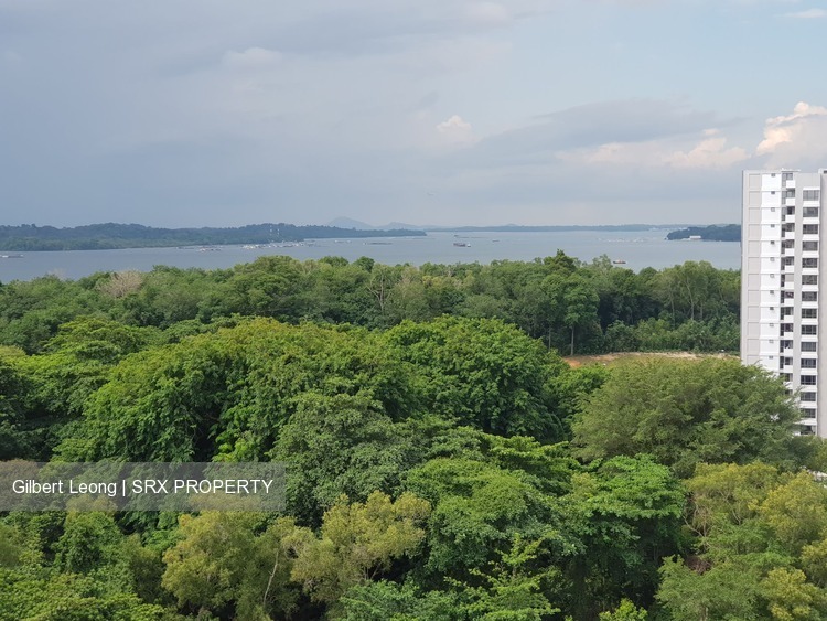 Pasir Ris Street 72 thumbnail photo